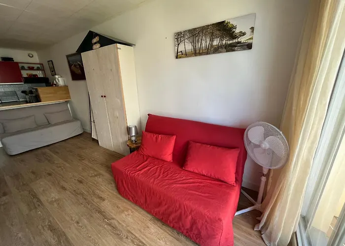 Avec Piscine Et Parking Prive - Arcachon, Port De Plaisance - Fr-1-319-93 Apartman