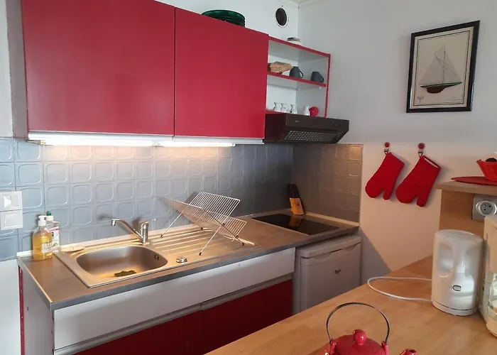 Apartment Avec Piscine Et Parking Prive - Arcachon, Port De Plaisance - Fr-1-319-93