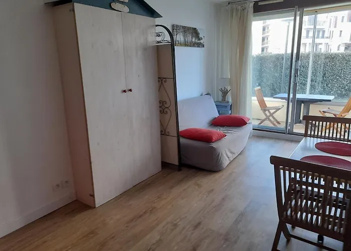 Apartment Avec Piscine Et Parking Prive - Arcachon, Port De Plaisance - Fr-1-319-93 *